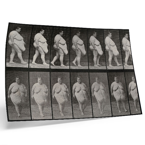 Plagát do izby Obézna žena kráčajúca. Fototypia podľa Eadwearda Muybridgea, 1887