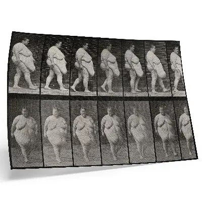 Plagát Obézna žena kráčajúca fototypia podľa Eadwearda Muybridgea z roku 1887