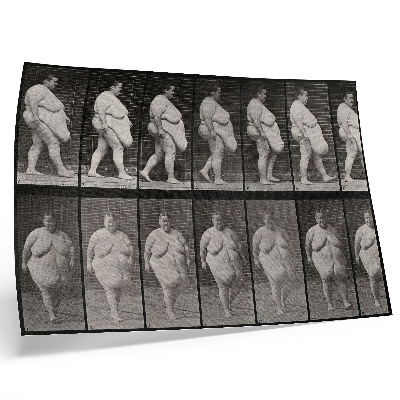 Plagát do izby Obézna žena kráčajúca. Fototypia podľa Eadwearda Muybridgea, 1887