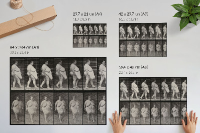 Plagát do izby Obézna žena kráčajúca. Fototypia podľa Eadwearda Muybridgea, 1887