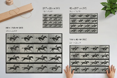 Retro plagát Cválajúci kôň a jazdec. Fototypia podľa Eadwearda Muybridgea, 1887