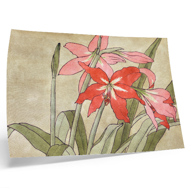 Poster Amaryllis (1915) od Hannah Borger Overbeck
