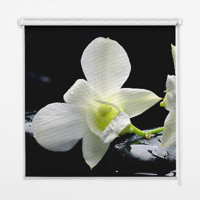 Vnútorná roleta na okno s motívom orchideí a elegantným dizajnom
