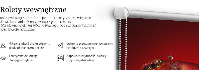 Roleta na balkónové dvere v červenej farbe s motívom jablka v hlbinách