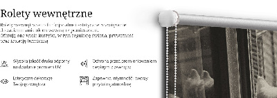 Roleta na balkónové dvere s motívom mačiek v okne