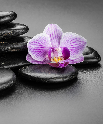 Vnútorná roleta na okno s motívom orchidey na kameňoch