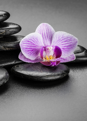 Vnútorná roleta na okno s motívom orchidey na kameňoch