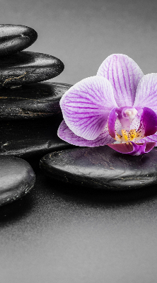 Vnútorná roleta na okno s motívom orchidey na kameňoch