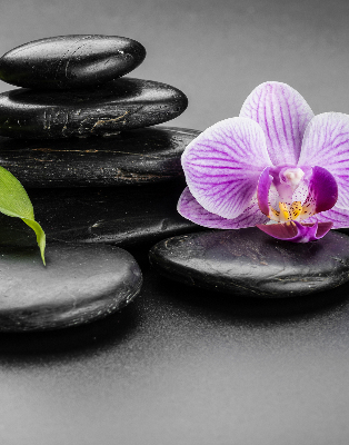 Vnútorná roleta na okno s motívom orchidey na kameňoch