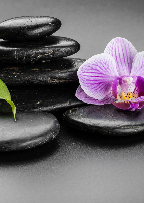 Vnútorná roleta na okno s motívom orchidey na kameňoch