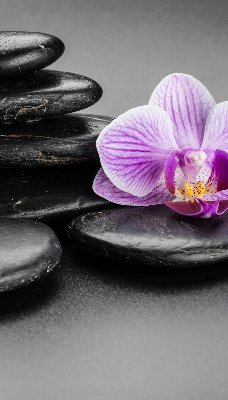 Vnútorná roleta na okno s motívom orchidey na kameňoch
