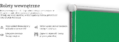 Roleta na okno v zelenej farbe