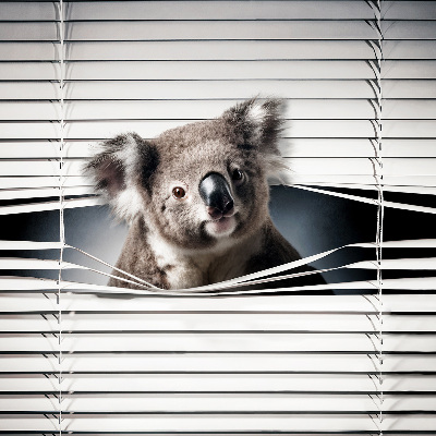 Roleta na balkónové dvere Koala