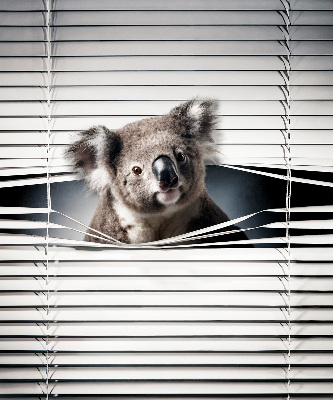 Roleta na balkónové dvere Koala