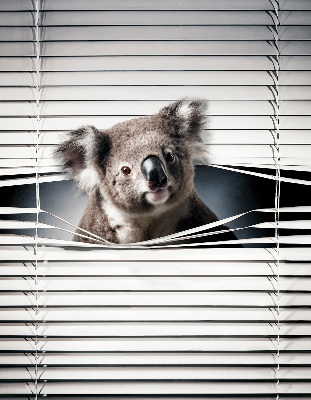 Roleta na balkónové dvere Koala