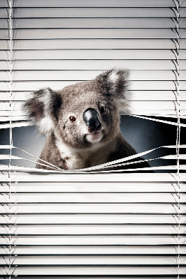 Roleta na balkónové dvere Koala