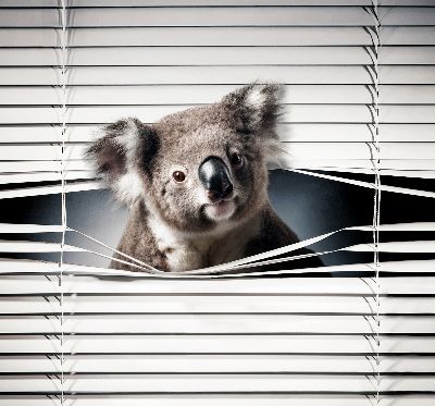 Roleta na balkónové dvere Koala