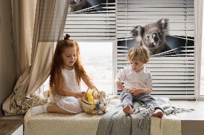 Roleta na balkónové dvere Koala