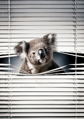 Roleta na balkónové dvere Koala