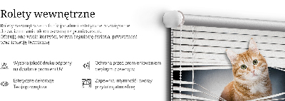 Roleta na okno v ryšavej farbe mačky