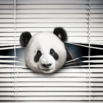 Vnútorná roleta na okno Panda