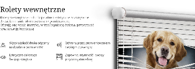 Vnútorná roleta na okno v zlatej farbe