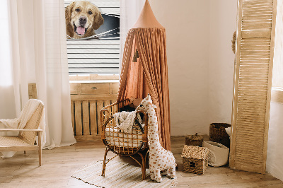 Vnútorná roleta na okno v zlatej farbe