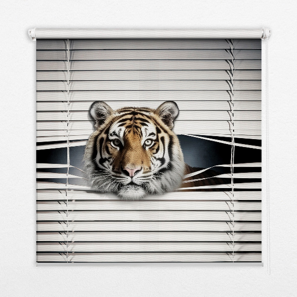 Roleta na okno Tiger