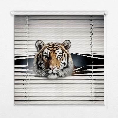 Roleta na okno Tiger
