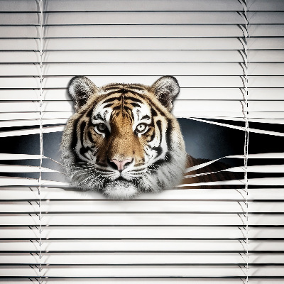 Roleta na okno Tiger