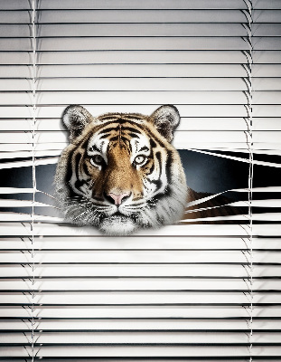 Roleta na okno Tiger
