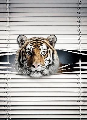 Roleta na okno Tiger
