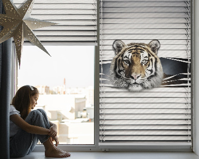 Roleta na okno Tiger