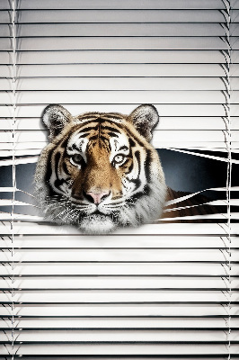Roleta na okno Tiger