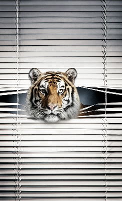 Roleta na okno Tiger