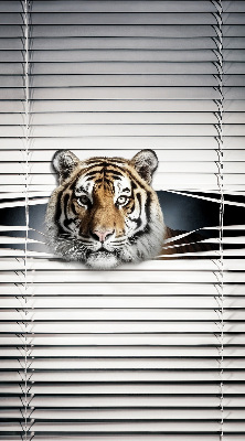 Roleta na okno Tiger