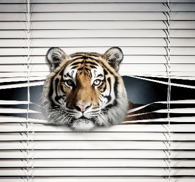 Roleta na okno Tiger