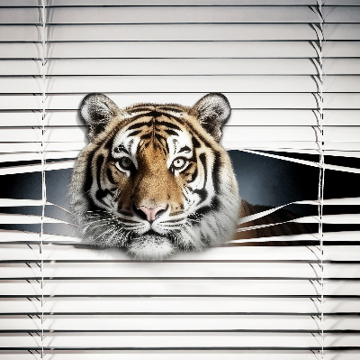Roleta na okno Tiger