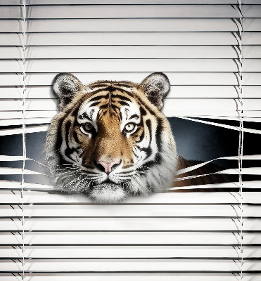 Roleta na okno Tiger