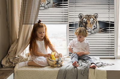 Roleta na okno Tiger