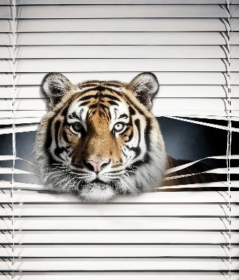 Roleta na okno Tiger