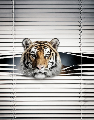 Roleta na okno Tiger