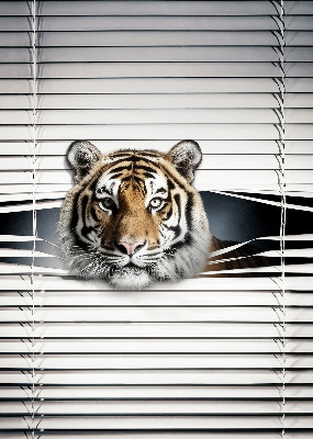 Roleta na okno Tiger