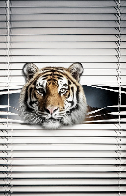Roleta na okno Tiger