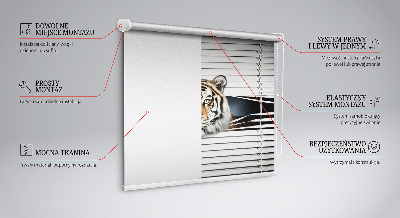 Roleta na okno Tiger