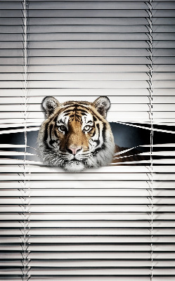 Roleta na okno Tiger
