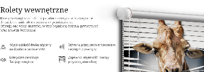 Vnútorná roleta na okno žirafa