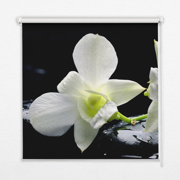 Vnútorná roleta na okno orchidey a elegancia
