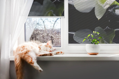 Vnútorná roleta na okno orchidey a elegancia