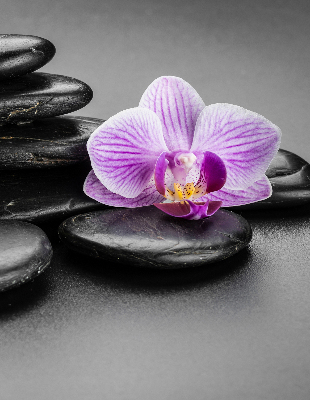 Vnútorná roleta na okno s motívom orchidey na kameni